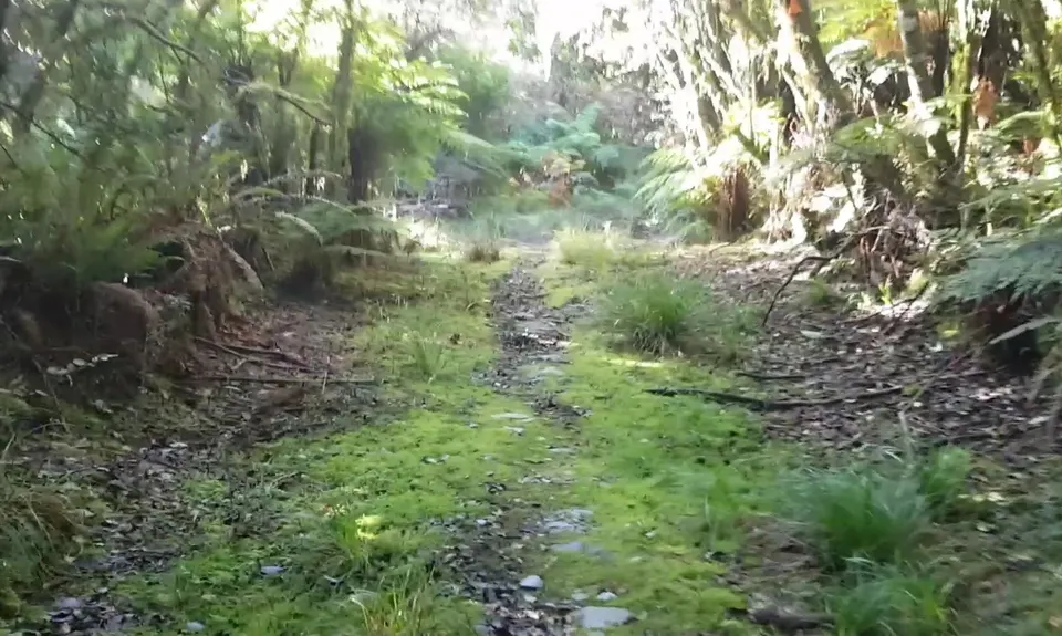 Milltown to Lower Arahura Hut , West Coast