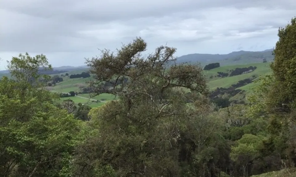Rewanui Loops, Manawatu - Wanganui