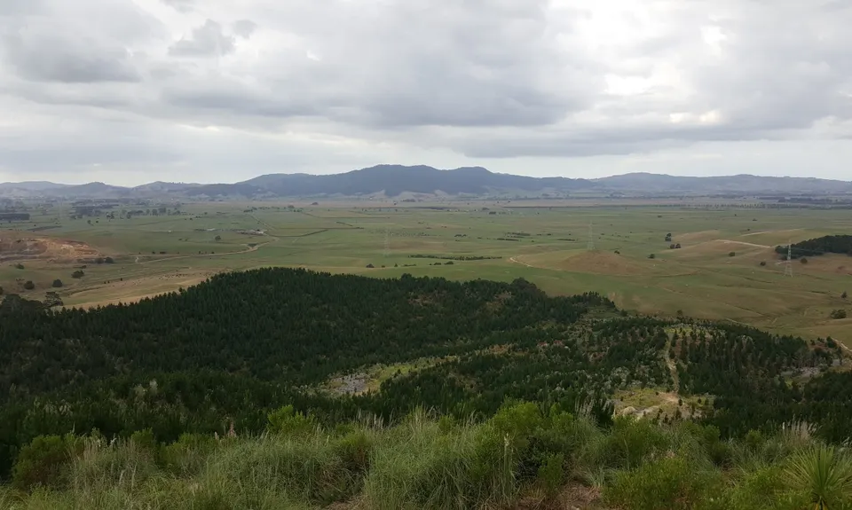 Pukemokemoke Loop, Waikato