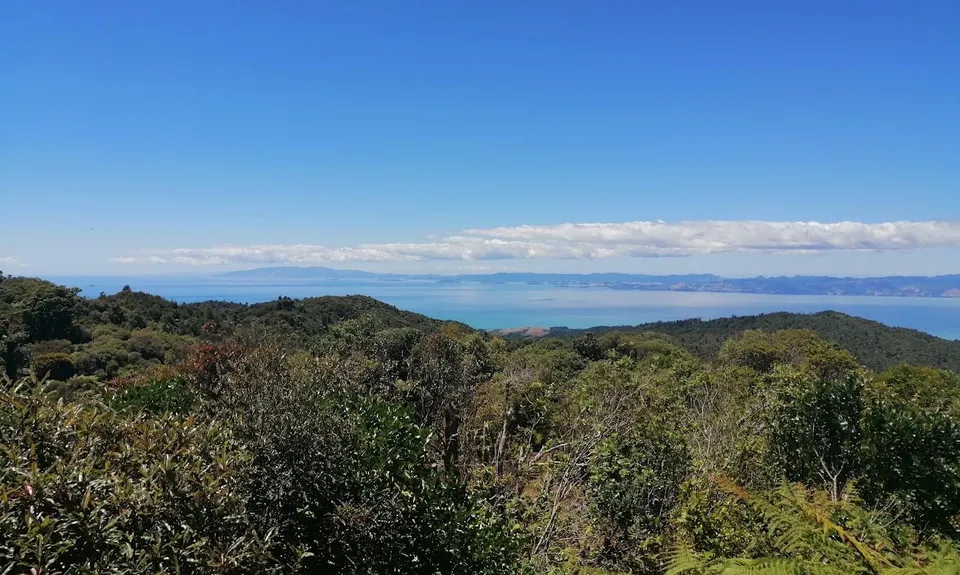 Hunua Hillbilly , Auckland