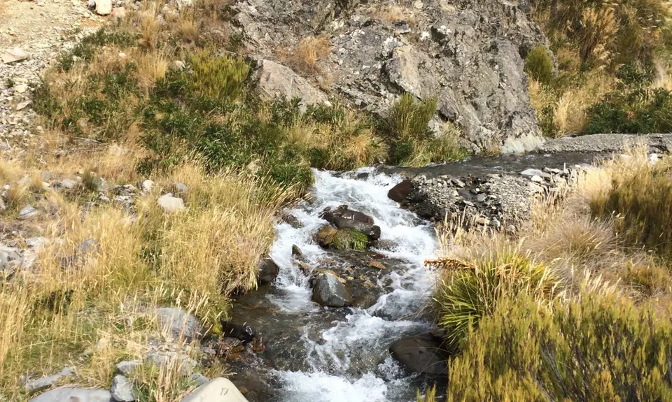 Cloudsley - Enys Traverse, Canterbury