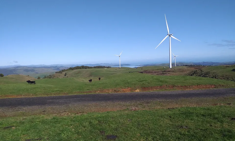 Pipiwharauroa Trail, Waikato