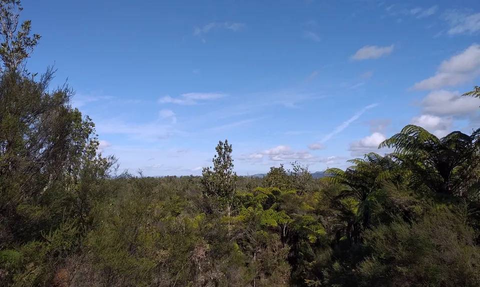 Ngatapuwae , Waikato