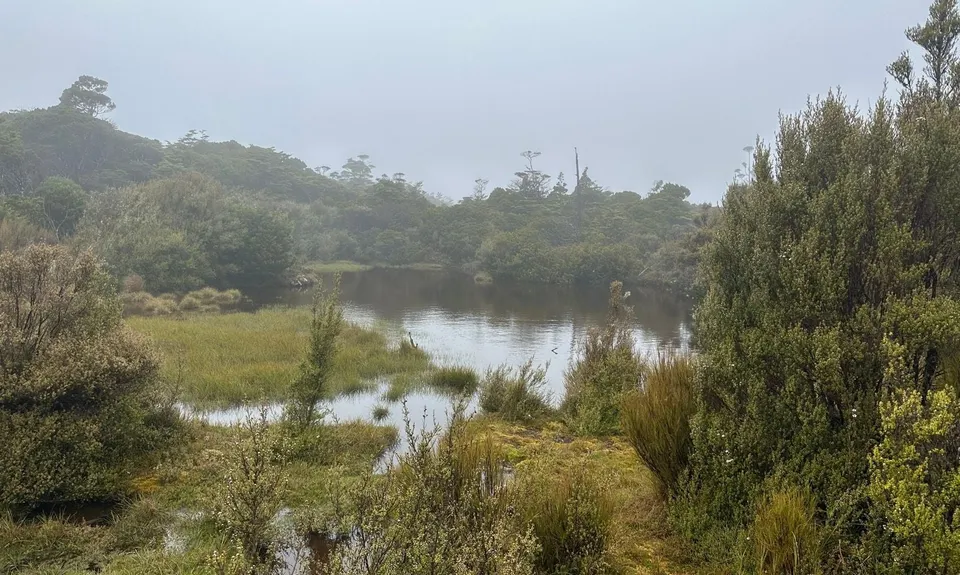 Dew Lakes Climb, Nelson
