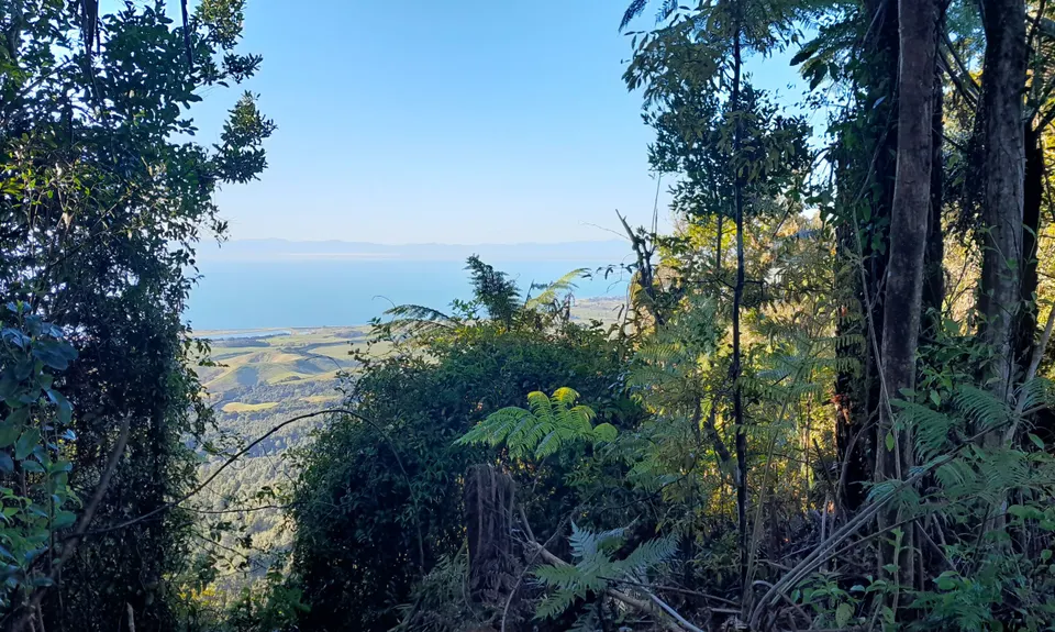 Waharau Ridge Gutbuster, Auckland