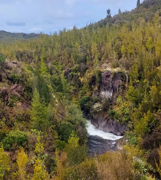 Waihāhā Hut Return, Waikato