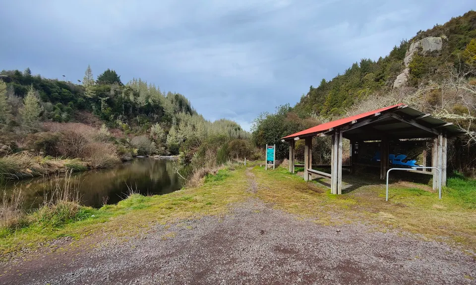 Waihaha Trail - Out & Back, Waikato