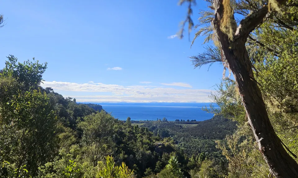 Waihaha Trail - Out & Back, Waikato