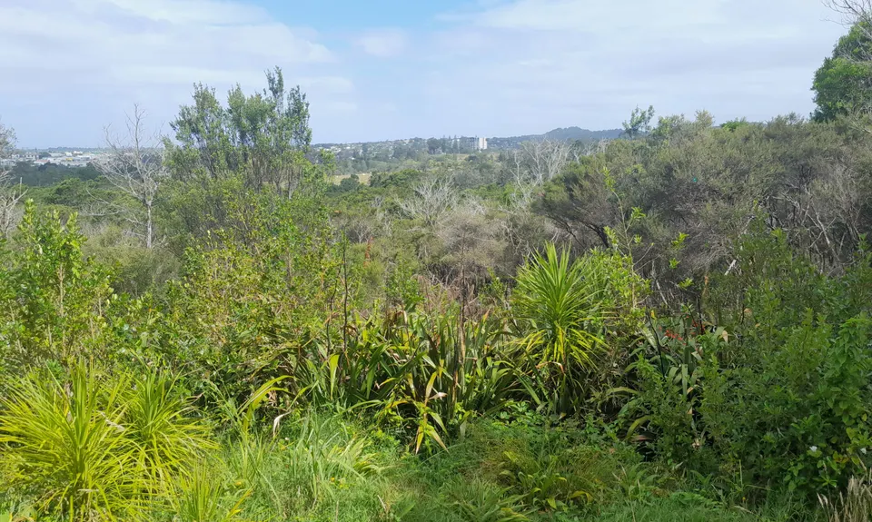 Waikumete, Auckland