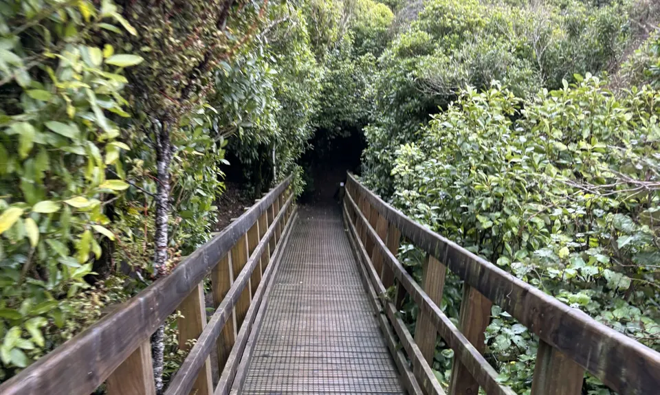 Waimapihi Treatie, Wellington