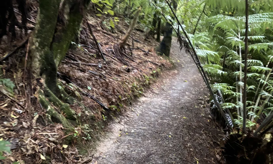 Waimapihi Treatie, Wellington