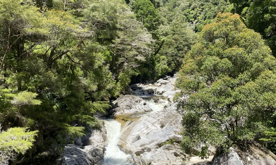 Wainui Falls goddess, Tasman