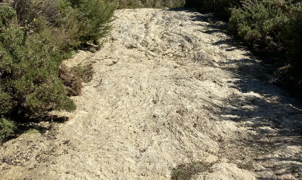 Wainui Trail Park, Wellington