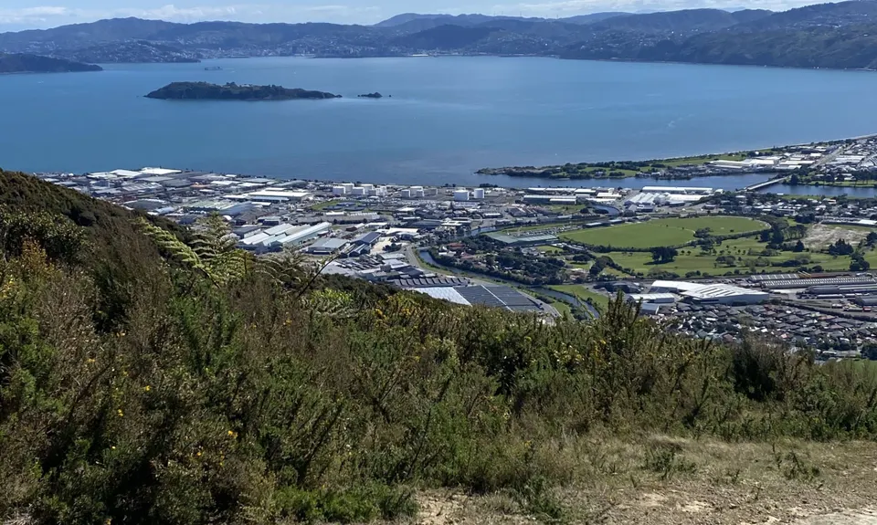Wainui Trail Park, Wellington
