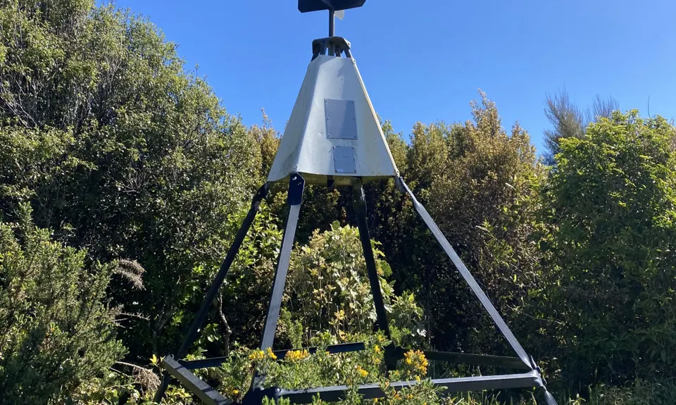 Wainui Trail Park, Wellington