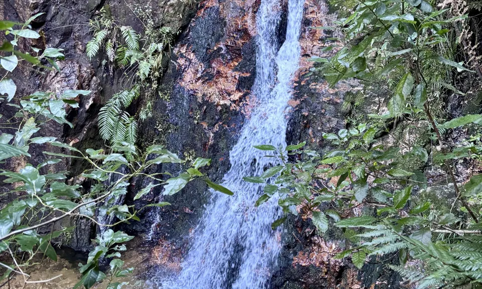 Waiorongomai Valley Adventures, Waikato