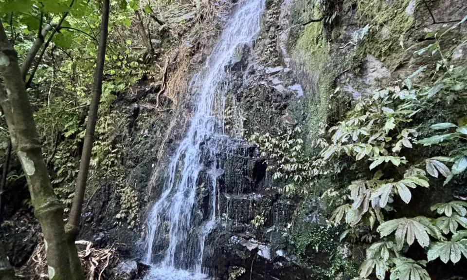 Waiorongomai Valley Adventures, Waikato