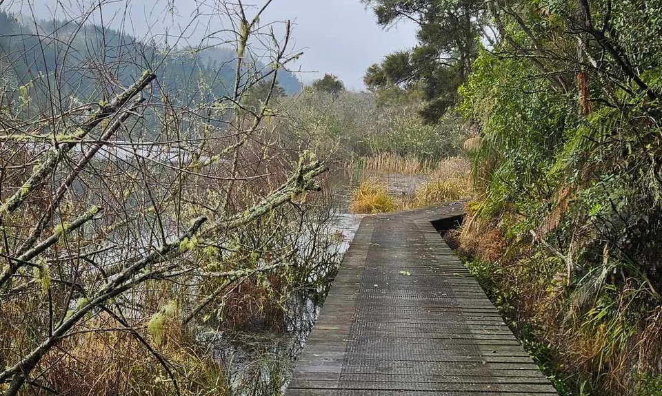 Waipapa Dam to Maraetai, Waikato