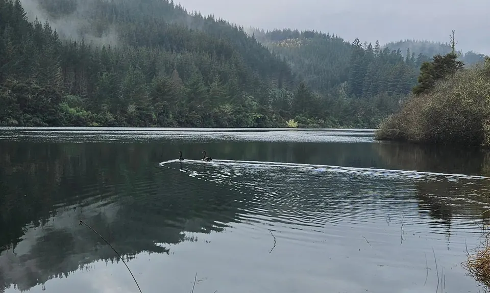Waipapa Dam to Maraetai, Waikato