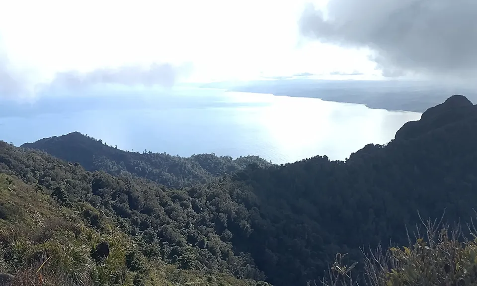 Wairake Track, Waikato