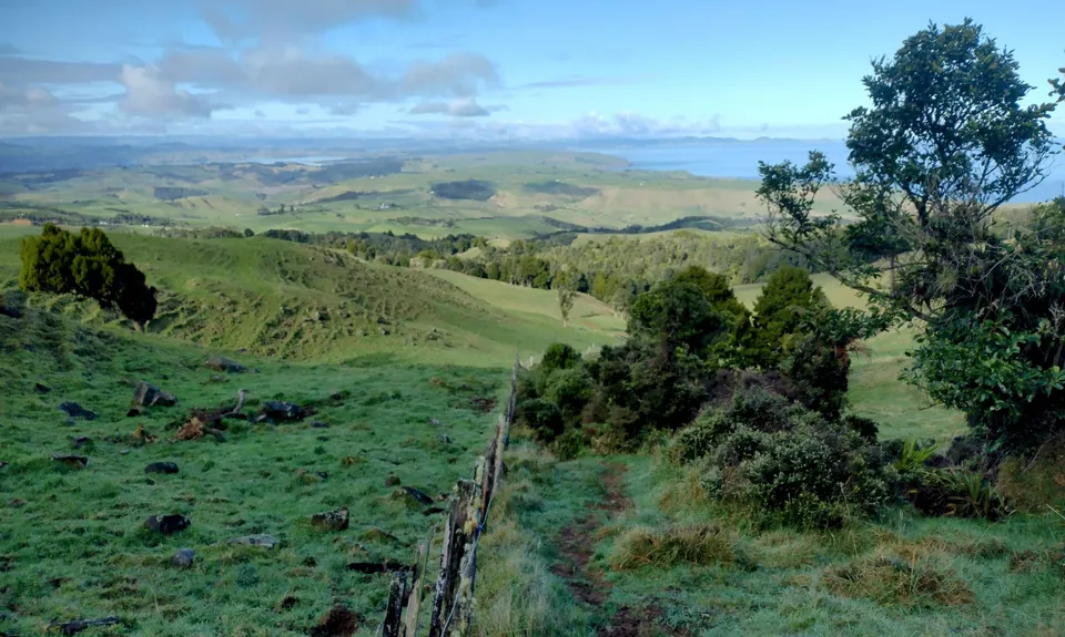 Wairake Track, Waikato