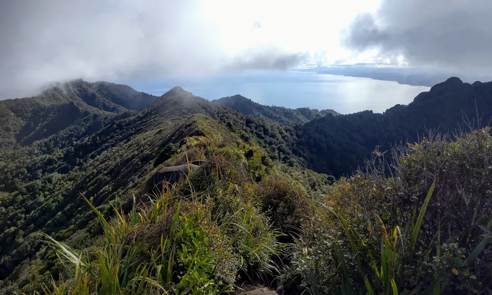 Wairake Track, Waikato