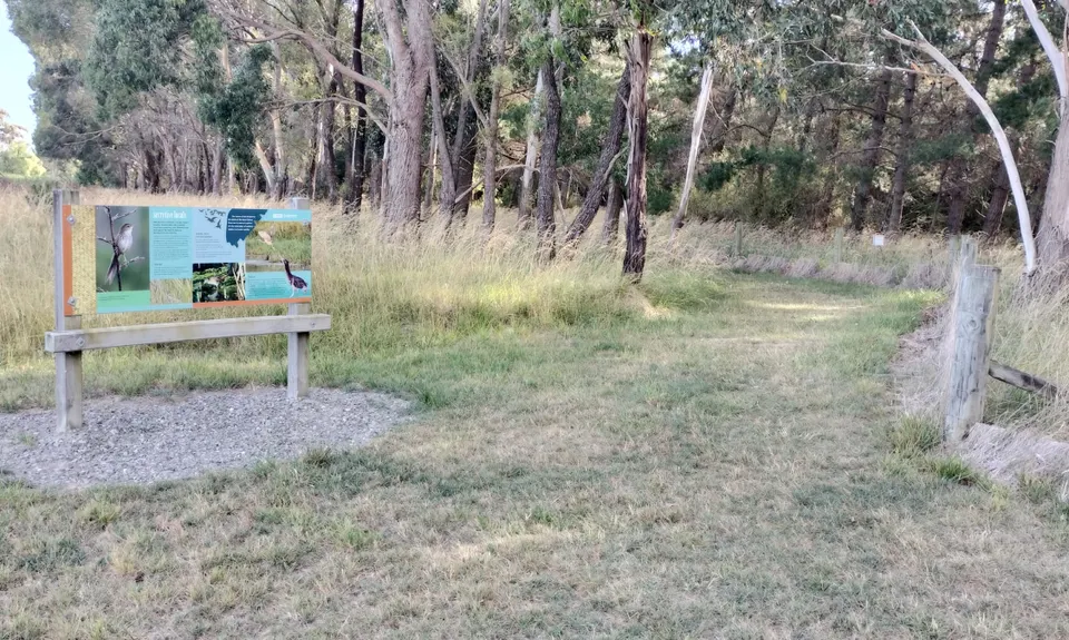 Wairau Lagoons Loop v2, Marlborough