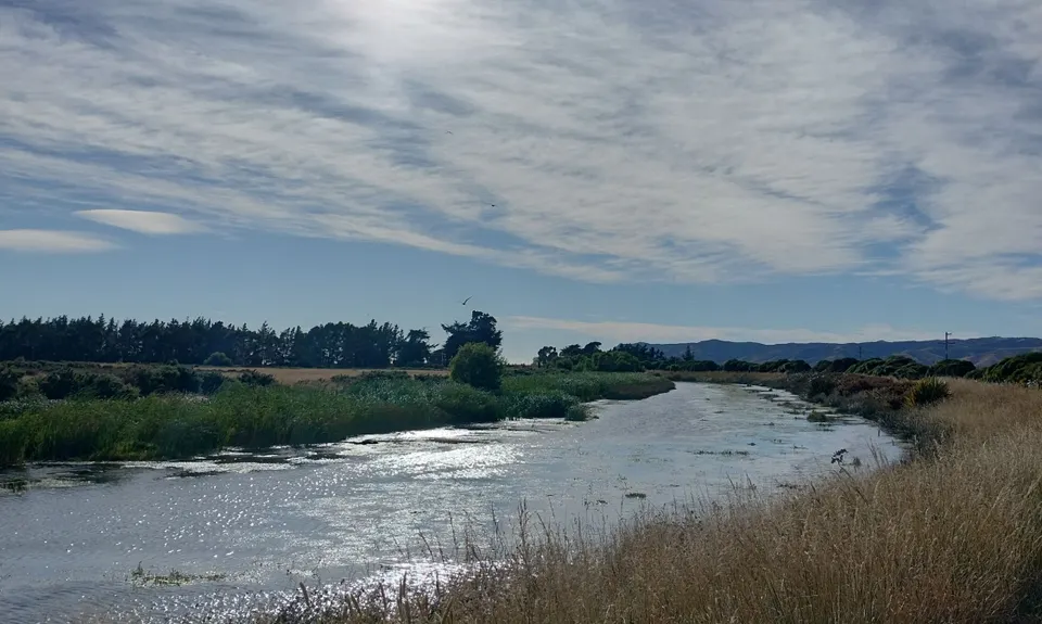Wairau Lagoons Loop v2, Marlborough