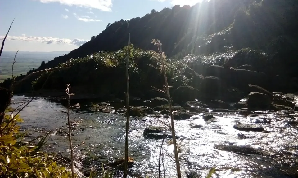 Wairere Falls, Waikato