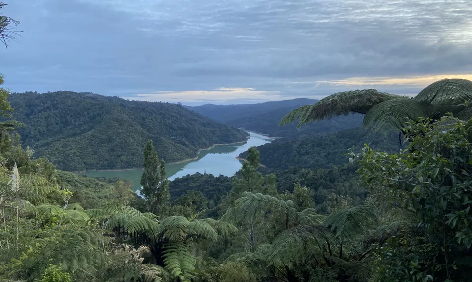 Wairoa Suspension Loop, Auckland
