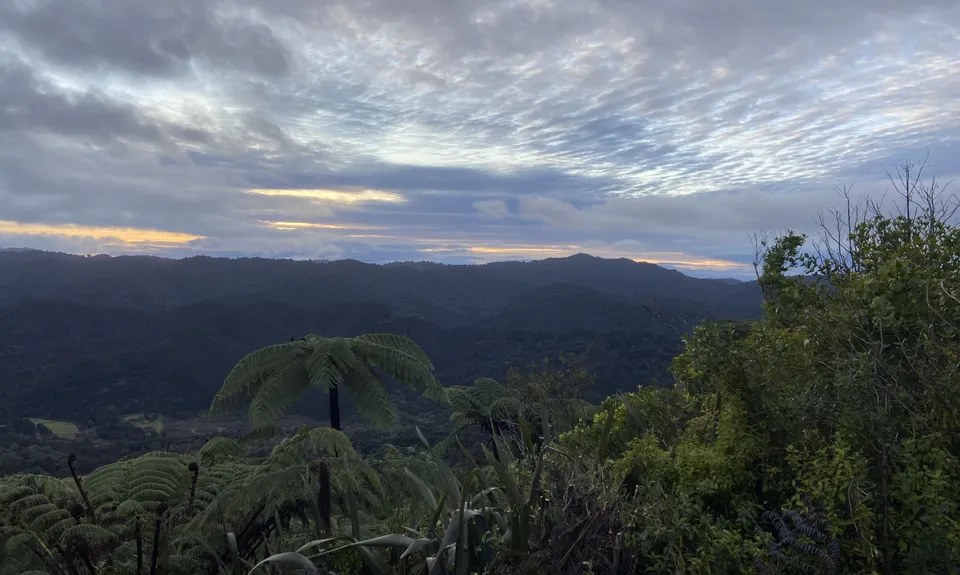 Wairoa Suspension Loop, Auckland