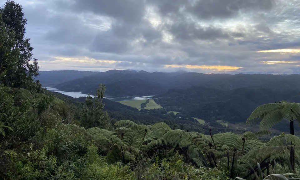 Wairoa Suspension Loop, Auckland