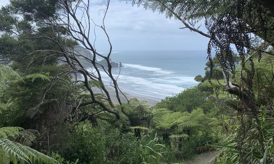 Waitak's Traverse, Auckland