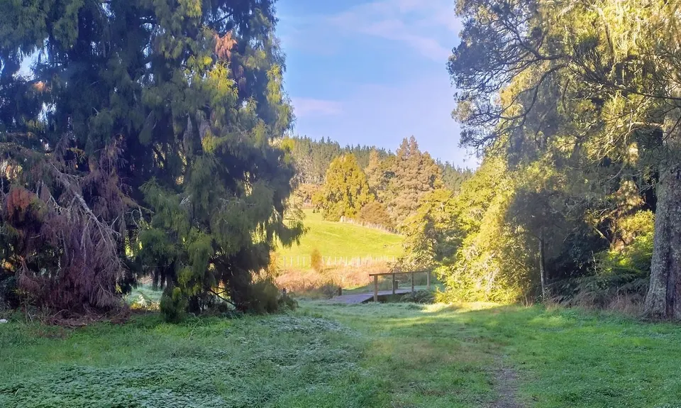 Waitetuna Highlights Tour, Waikato