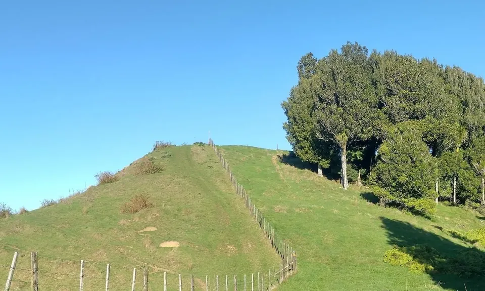 Waitetuna Highlights Tour, Waikato