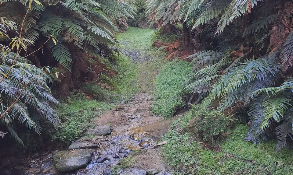 Waitetuna Highlights Tour, Waikato