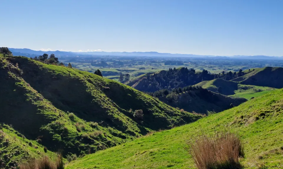 Waitetuna Highlights Tour, Waikato