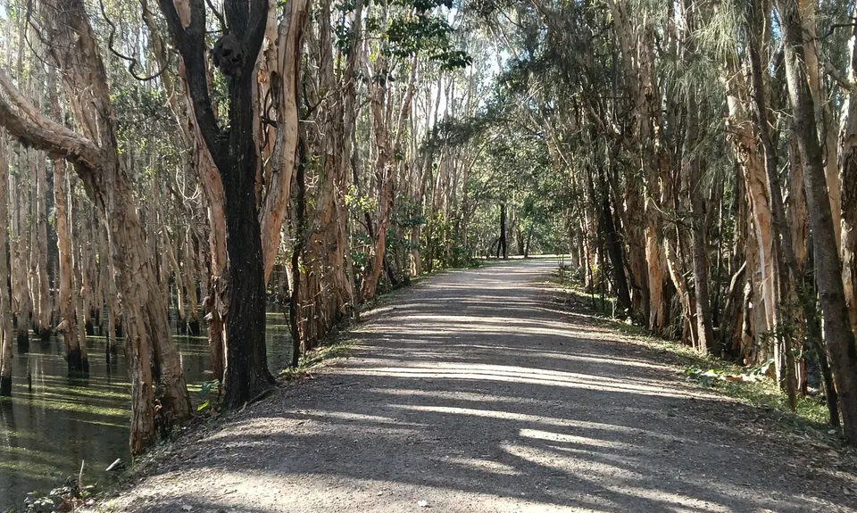 Wallaby Wander, Queensland