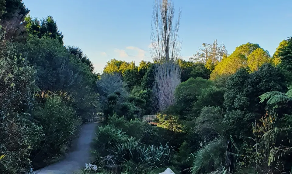 Welcome Bay Blast, Bay of Plenty