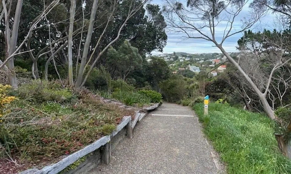 Wellington City to Sea & Southern Walkway Loop, Wellington