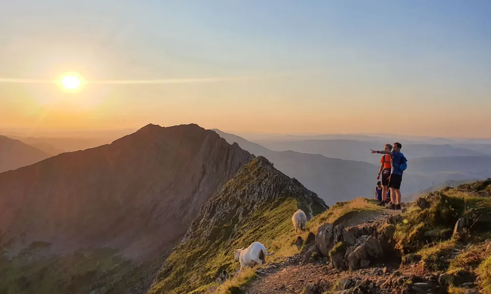 Welsh 3000s , Wales