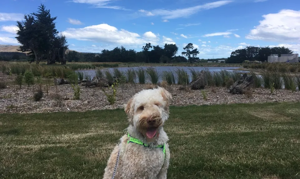 Westmorland Wetland Time Trial, Canterbury