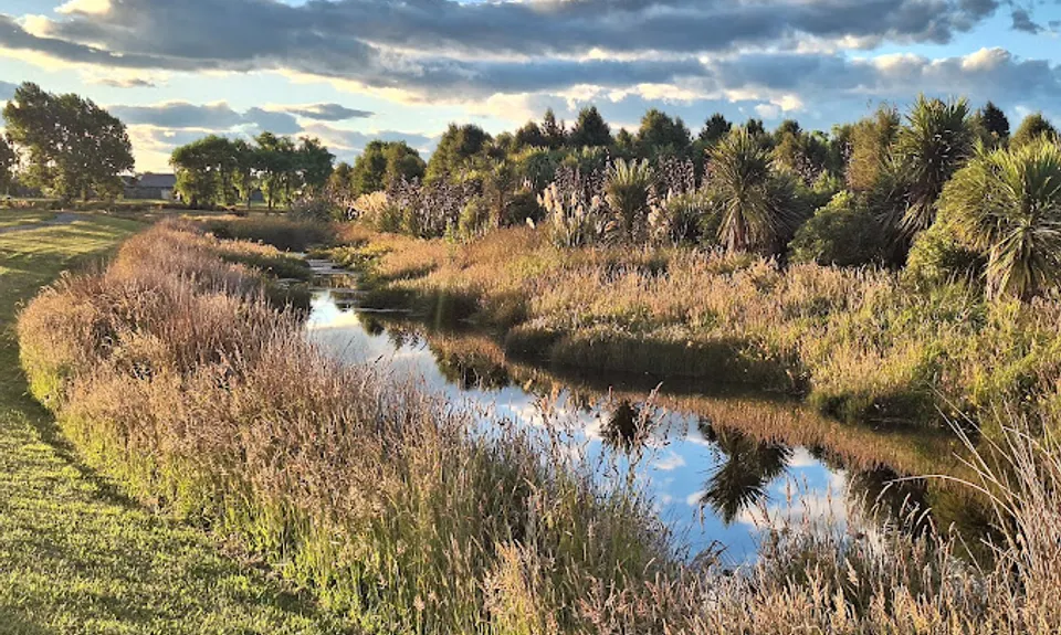 Wetland Loop de Loop, Canterbury