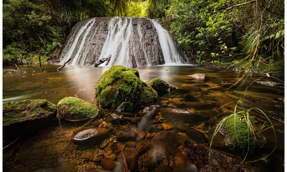 Whakamarama Loop, Bay of Plenty