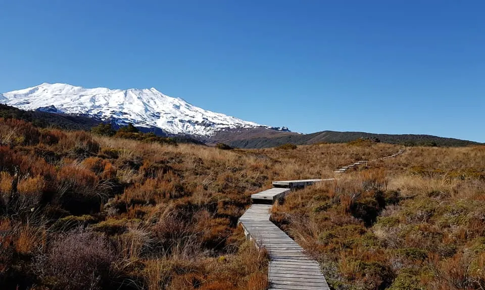 Whakapapaiti Loop, Manawatu - Wanganui