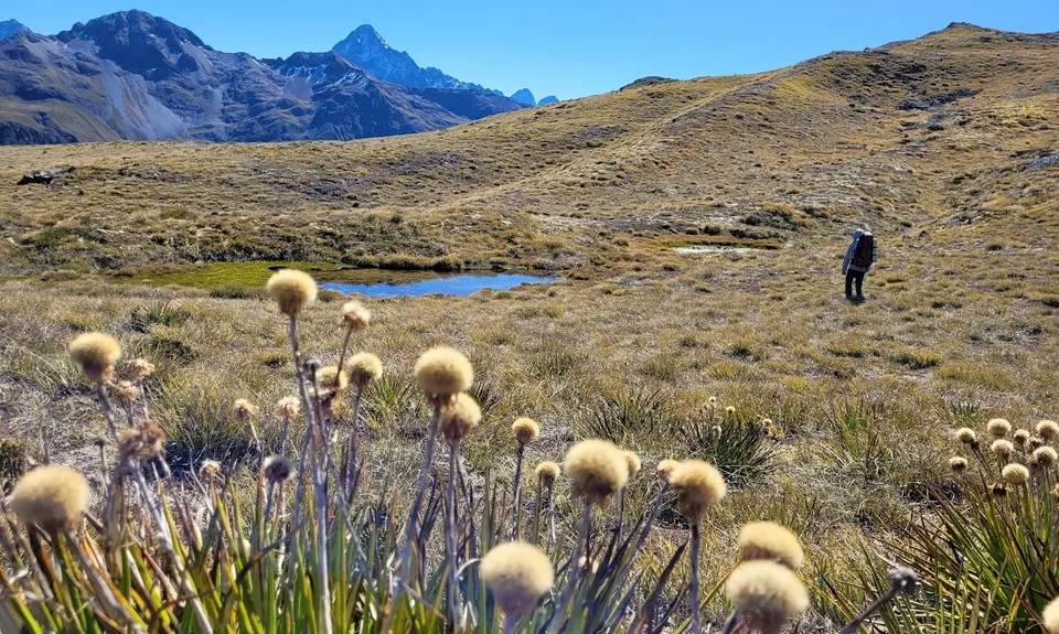 Whisky Trail and Routeburn, Otago