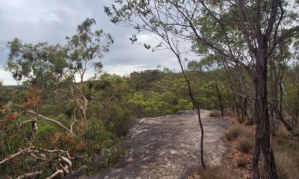 White rock trail ridge circuit, Queensland