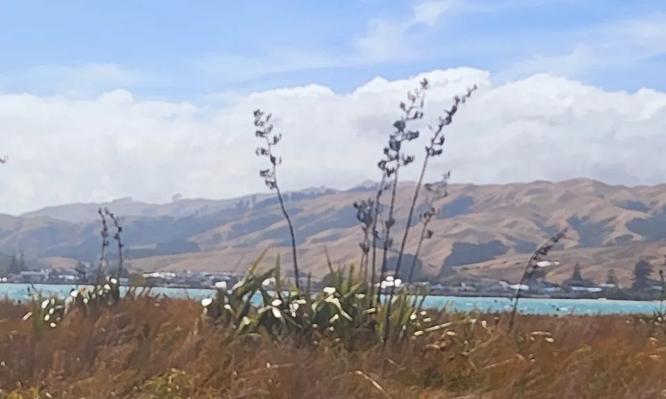 Whitireia Circuit, Wellington