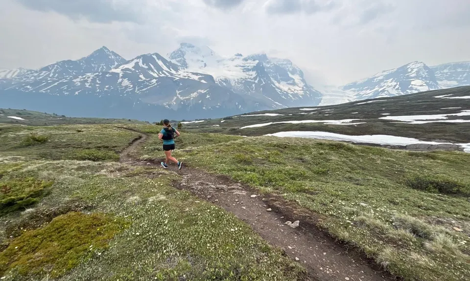 Wilcox Pass, Canada