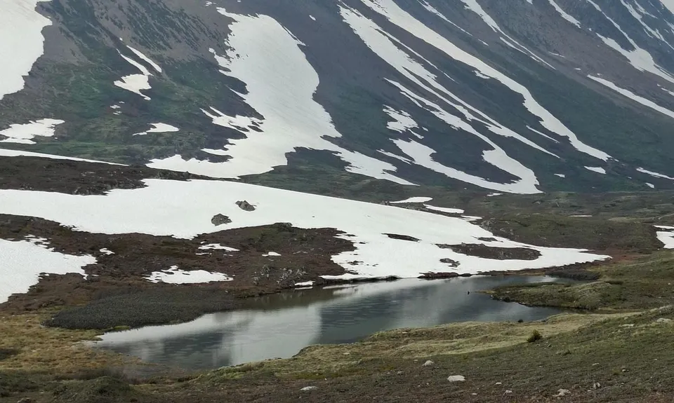 Wilcox Pass, Canada